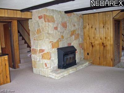 5470 Brainard Road Solon, OH 44139 - Photo 10 of 24 Family room with fireplace