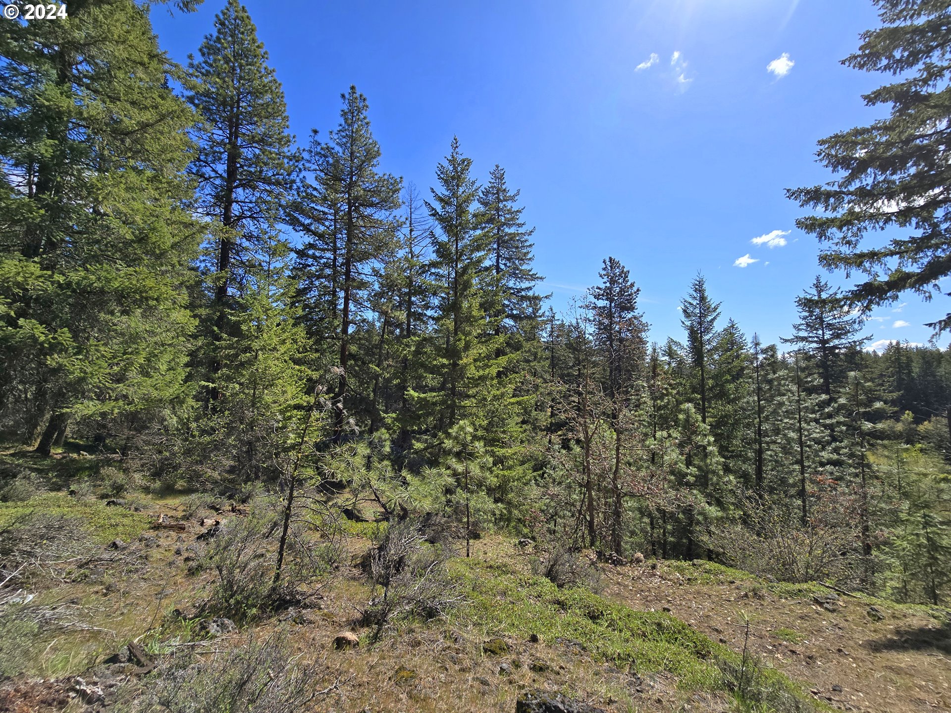 599 Turkey Ranch Road Goldendale, WA 98620 - Photo 14 of 41 Gallery Image 14