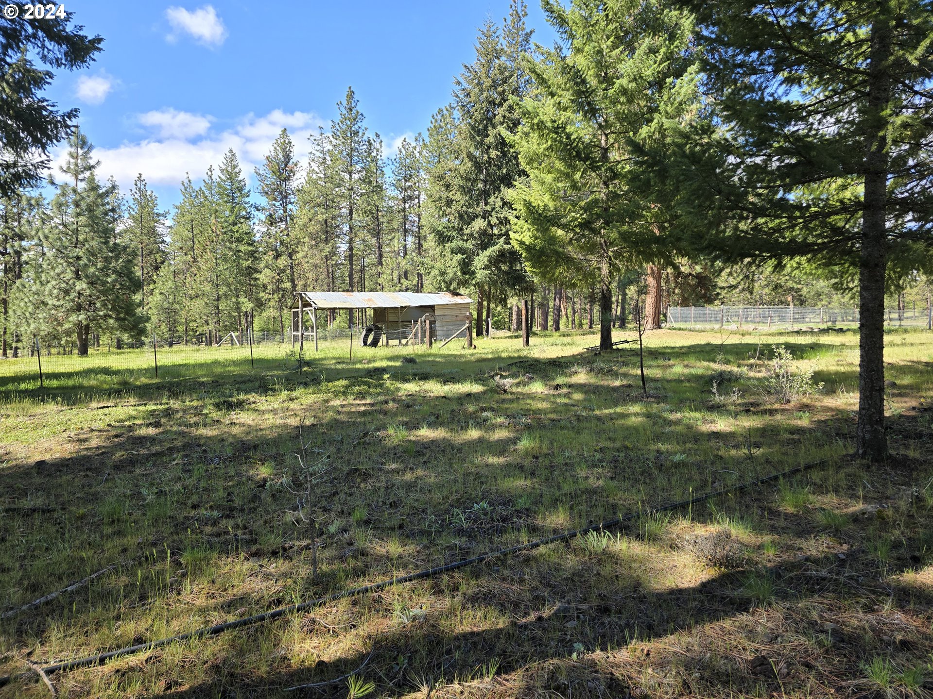 599 Turkey Ranch Road Goldendale, WA 98620 - Photo 15 of 41 Gallery Image 15