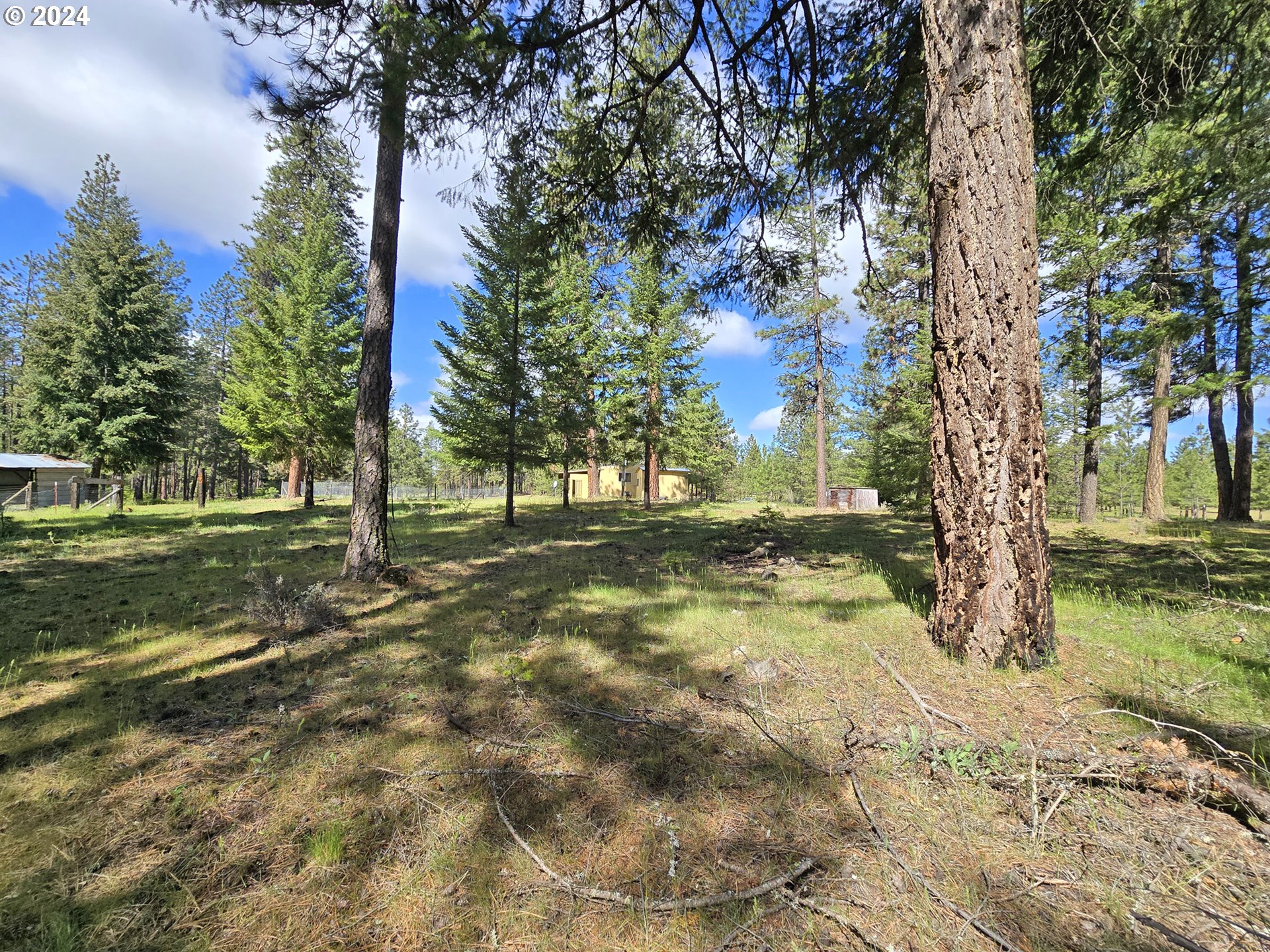 599 Turkey Ranch Road Goldendale, WA 98620 - Photo 16 of 41 Gallery Image 16