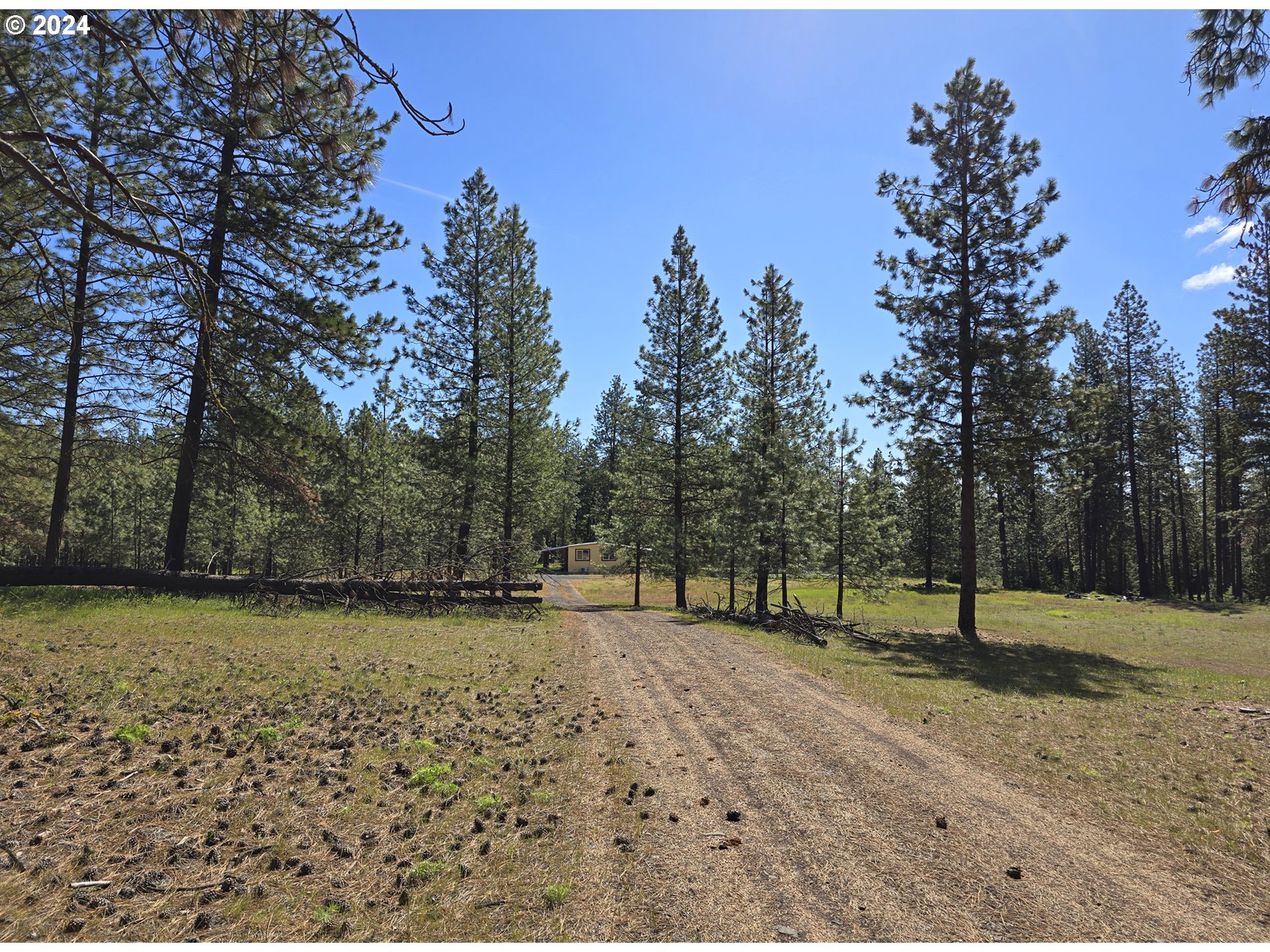 599 Turkey Ranch Road Goldendale, WA 98620 - Photo 7 of 41 Driveway