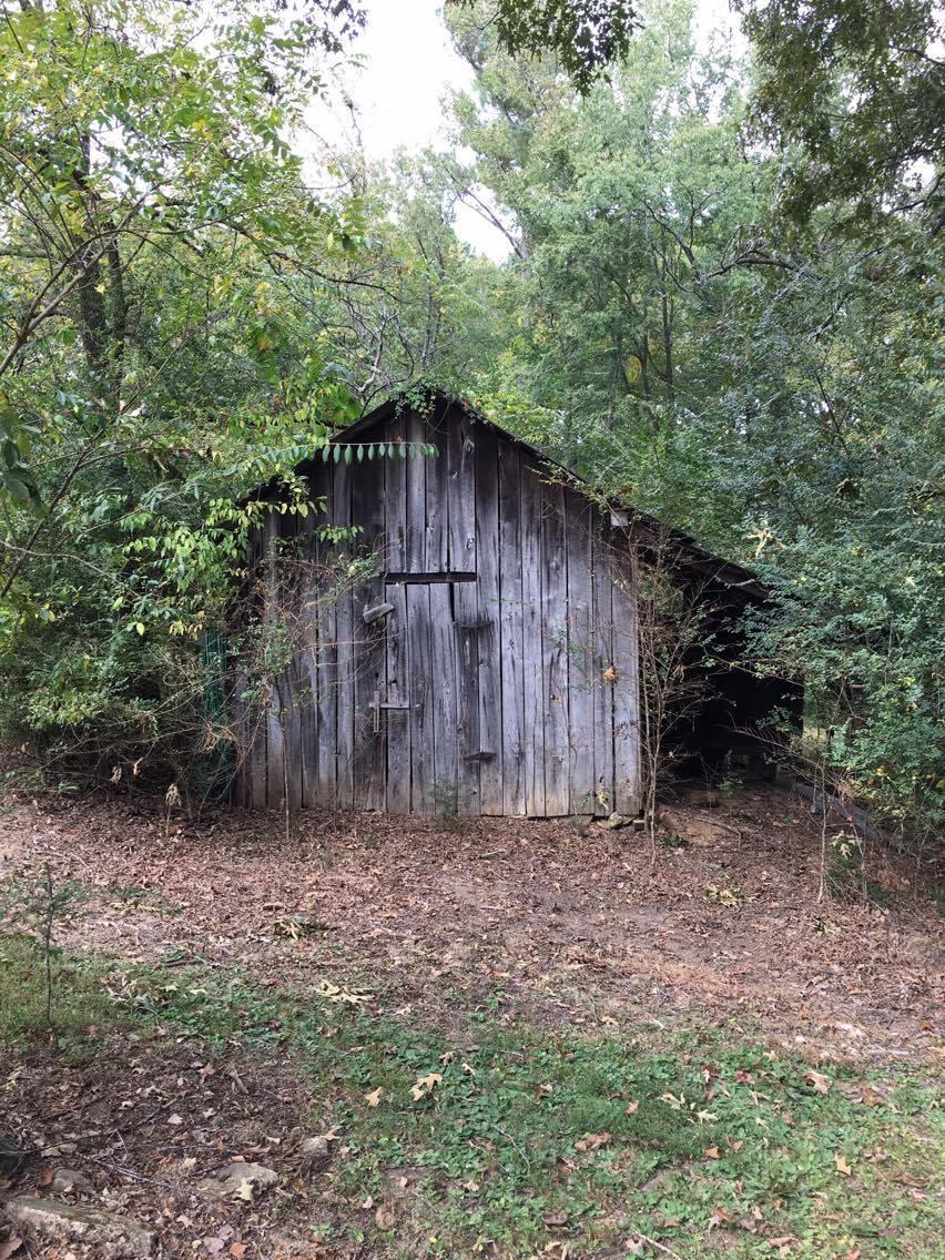 427 Flatwoods School Road Linden, TN 37096 - Photo 10 of 25 Gallery Image 10