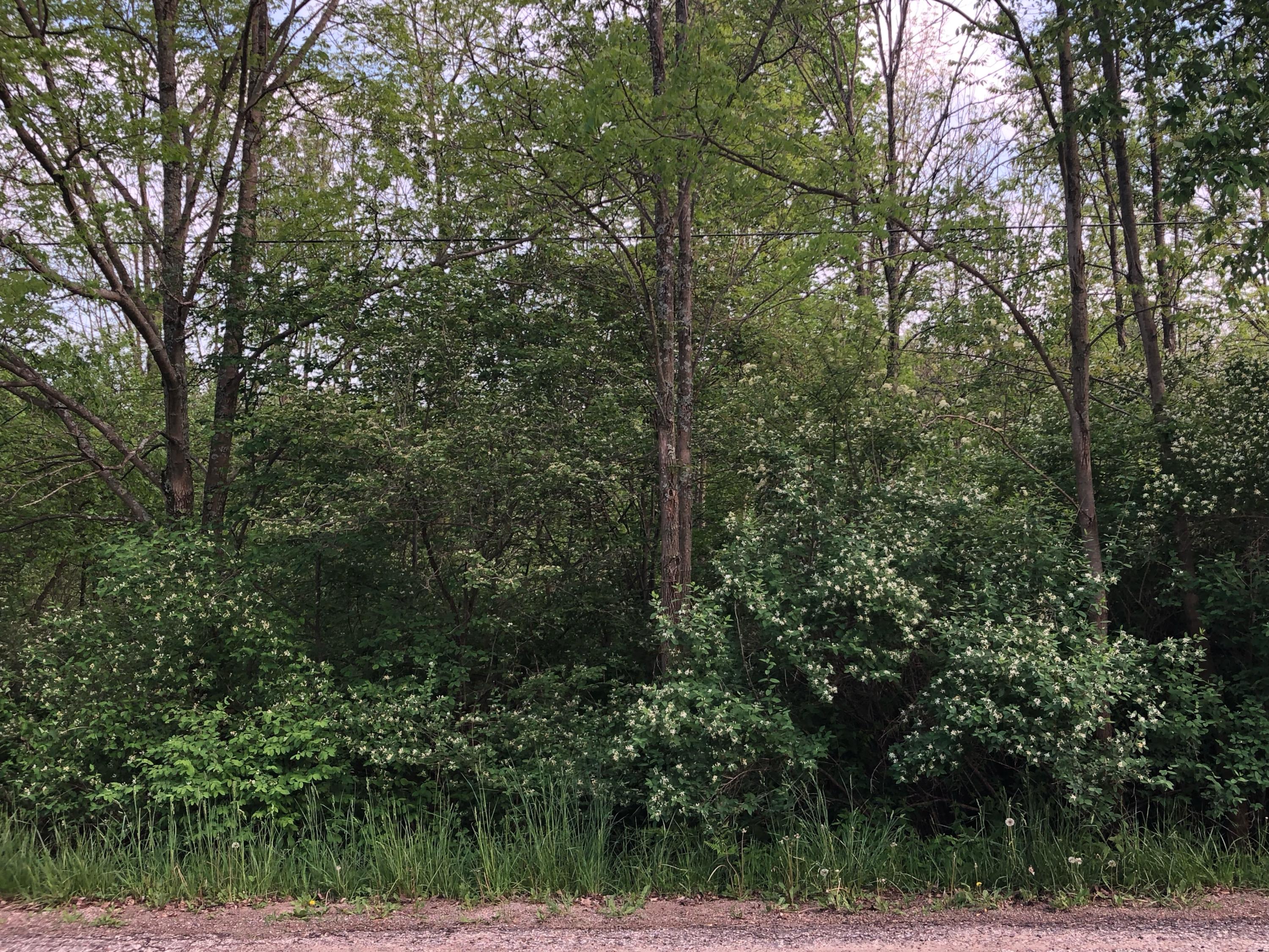 image3-4