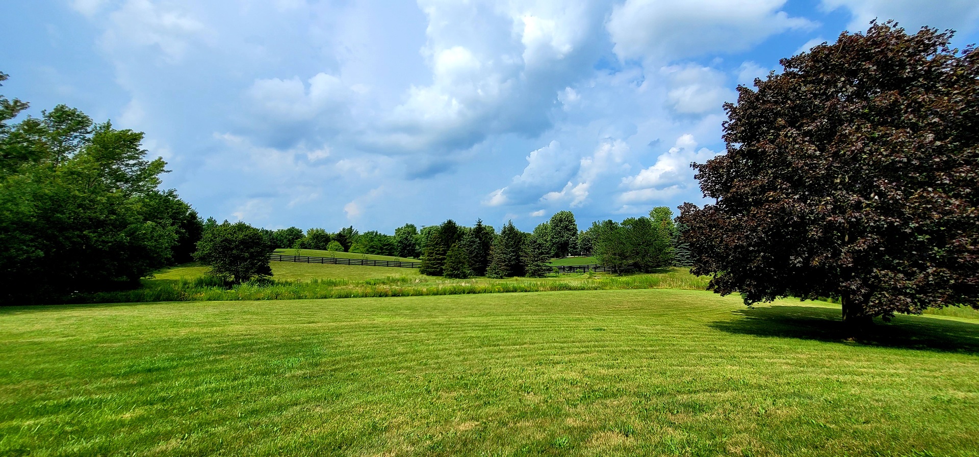 6514 Hamilton Road Huntley, IL 60142 - Photo 34 of 40 a view of a grassy field with trees