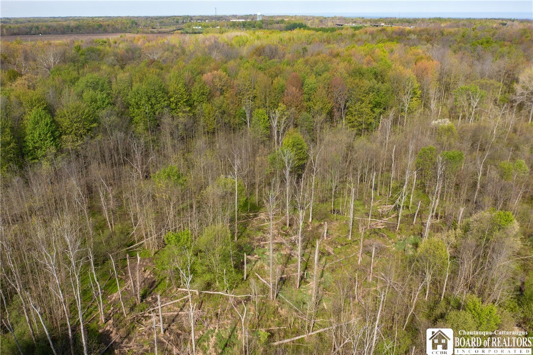 5208 West Main Road Pomfret, NY 14063 - Photo 8 of 15 Gallery Image 8