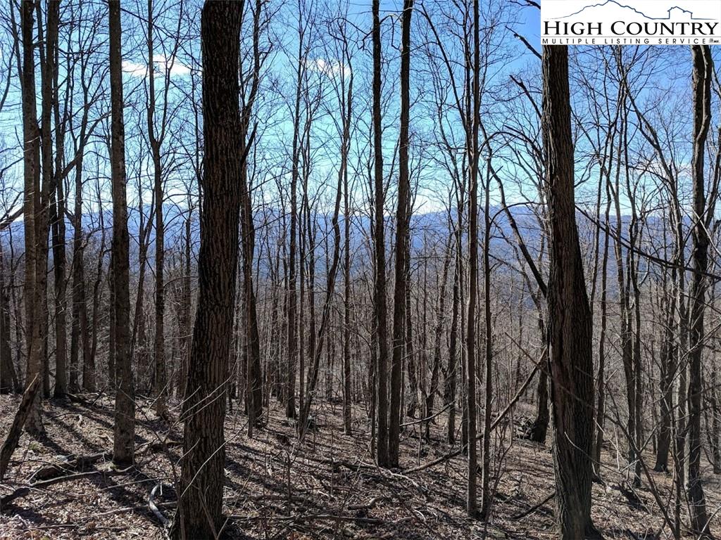 Wolf Ridge Trail Trail Vilas, NC 28692 - Photo 1 of 6 Gallery Image 1