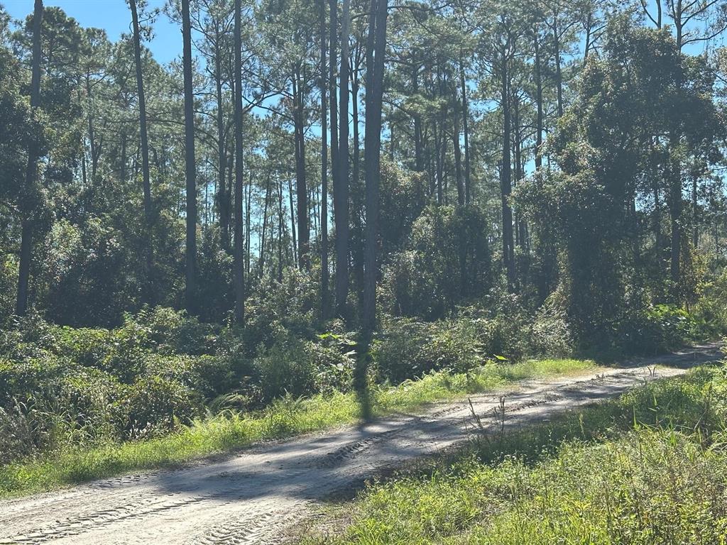 11th Avenue DeLand, FL 32724 - Photo 1 of 1 a view of a yard with a tree