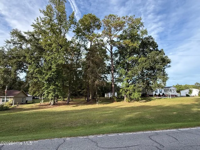 $29,900 | Lot #1 Prison Camp Road, Whiteville, NC 28472