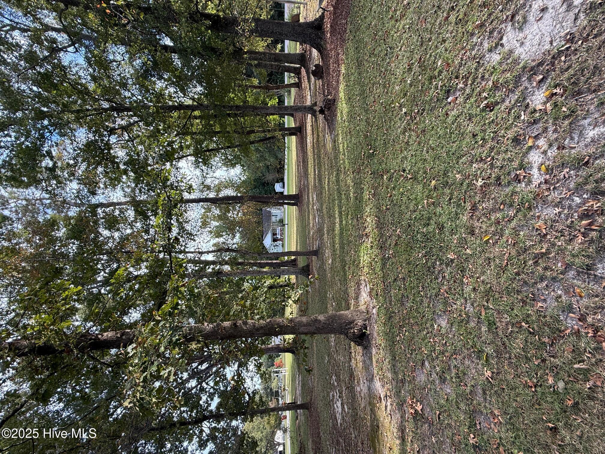 Lot #1 Prison Camp Road Whiteville, NC 28472 - Photo 2 of 6 Front