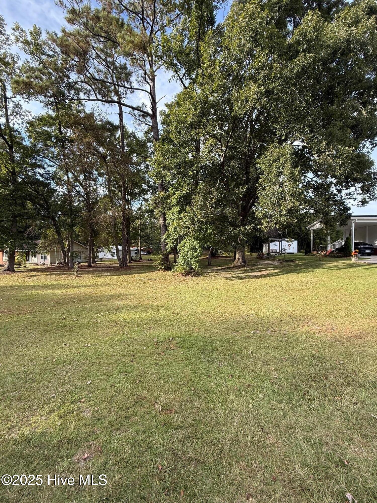 Lot #1 Prison Camp Road Whiteville, NC 28472 - Photo 3 of 6 IMG_4884