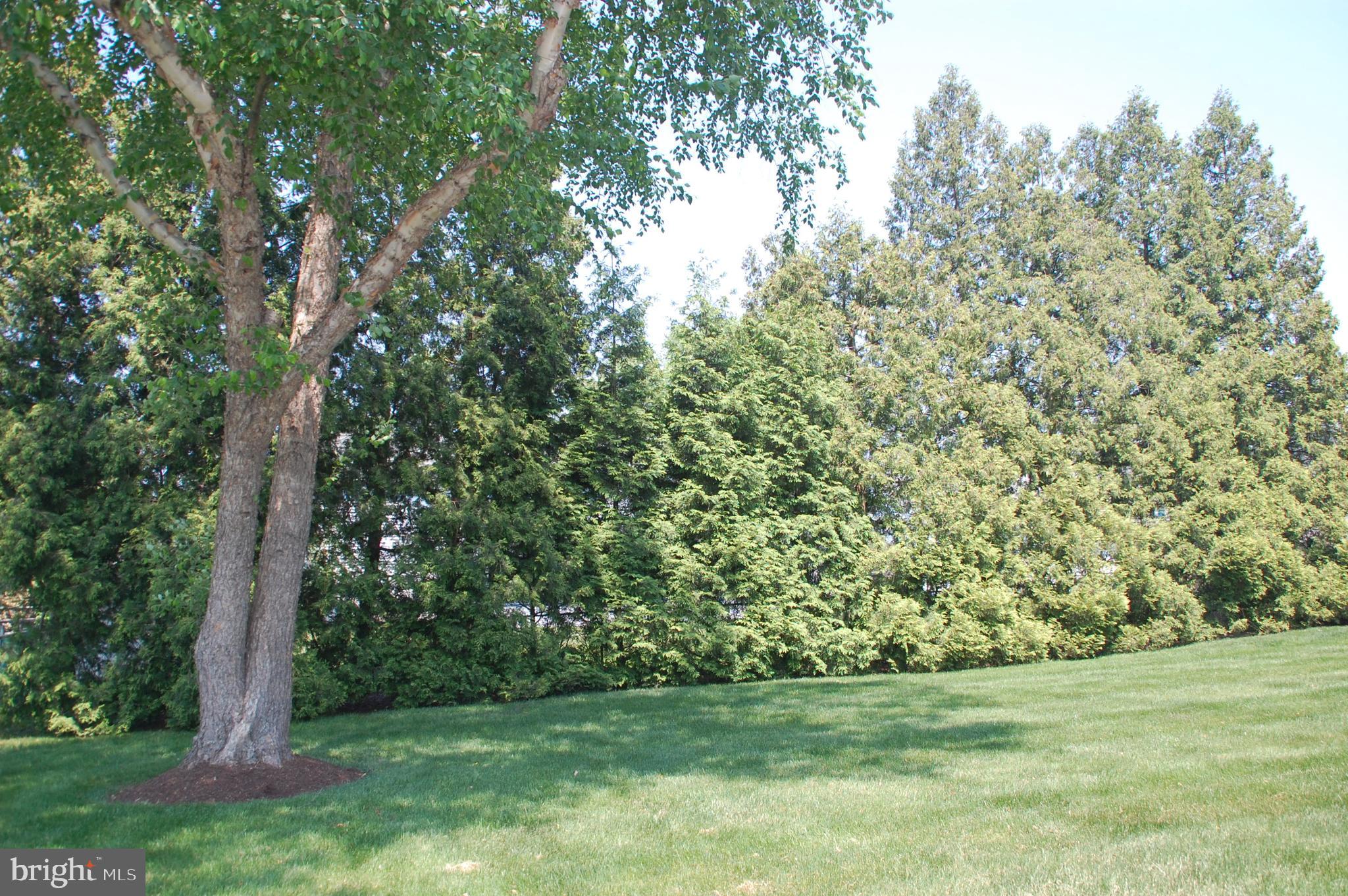 1349 Nevarc Road Warminster, PA 18974 - Photo 39 of 45 w/lots of privacy & shade provided by mature trees