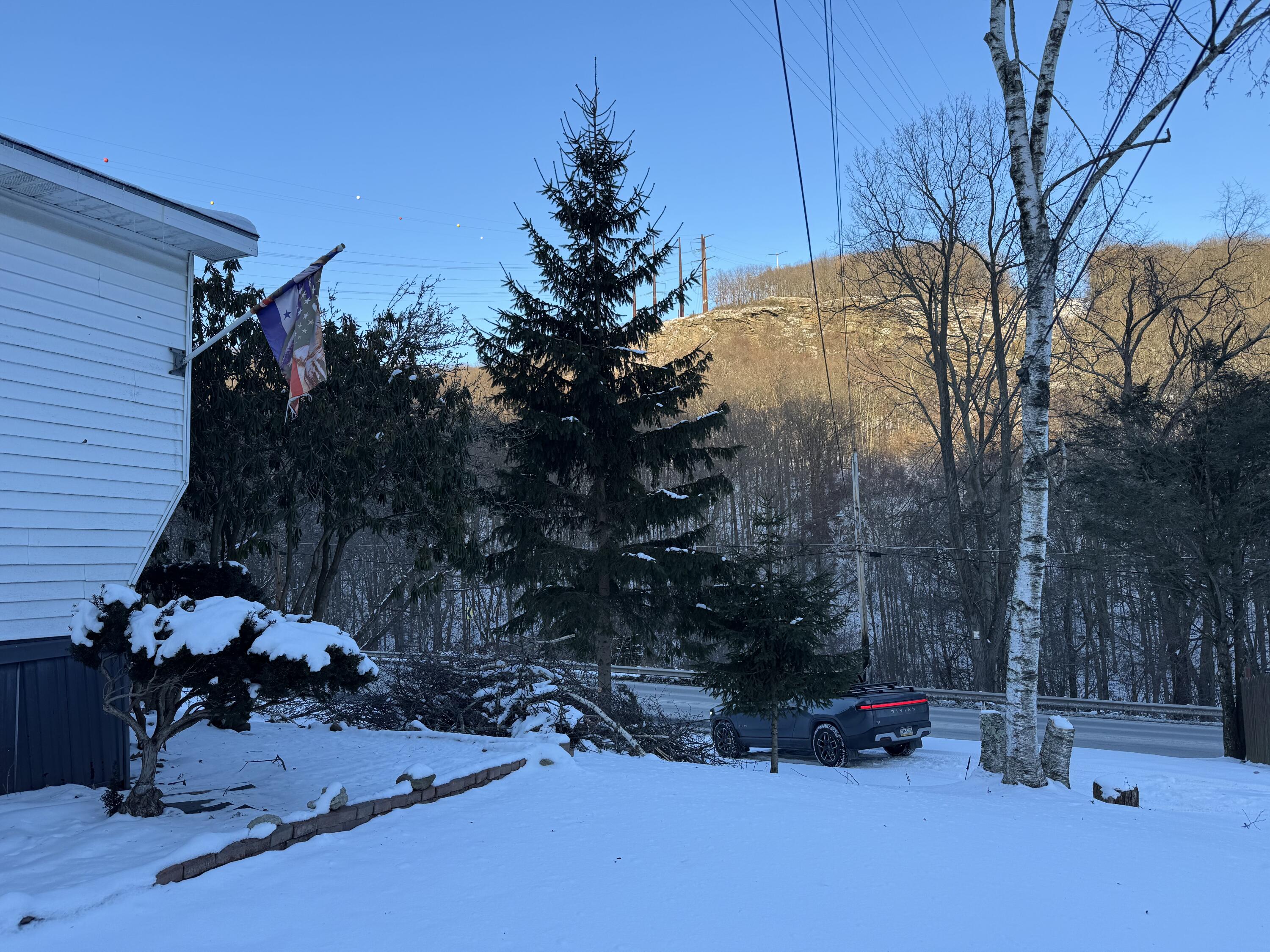 1741 Scott Road Olyphant, PA 18447 - Photo 6 of 11 a view of backyard with plants and trees