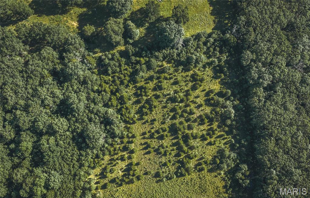 9.93-acres State Rte B St. James, MO 65559 - Photo 12 of 17