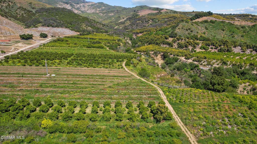 5682 Pine Grove Road Santa Paula, CA 93060 - Photo 5 of 53