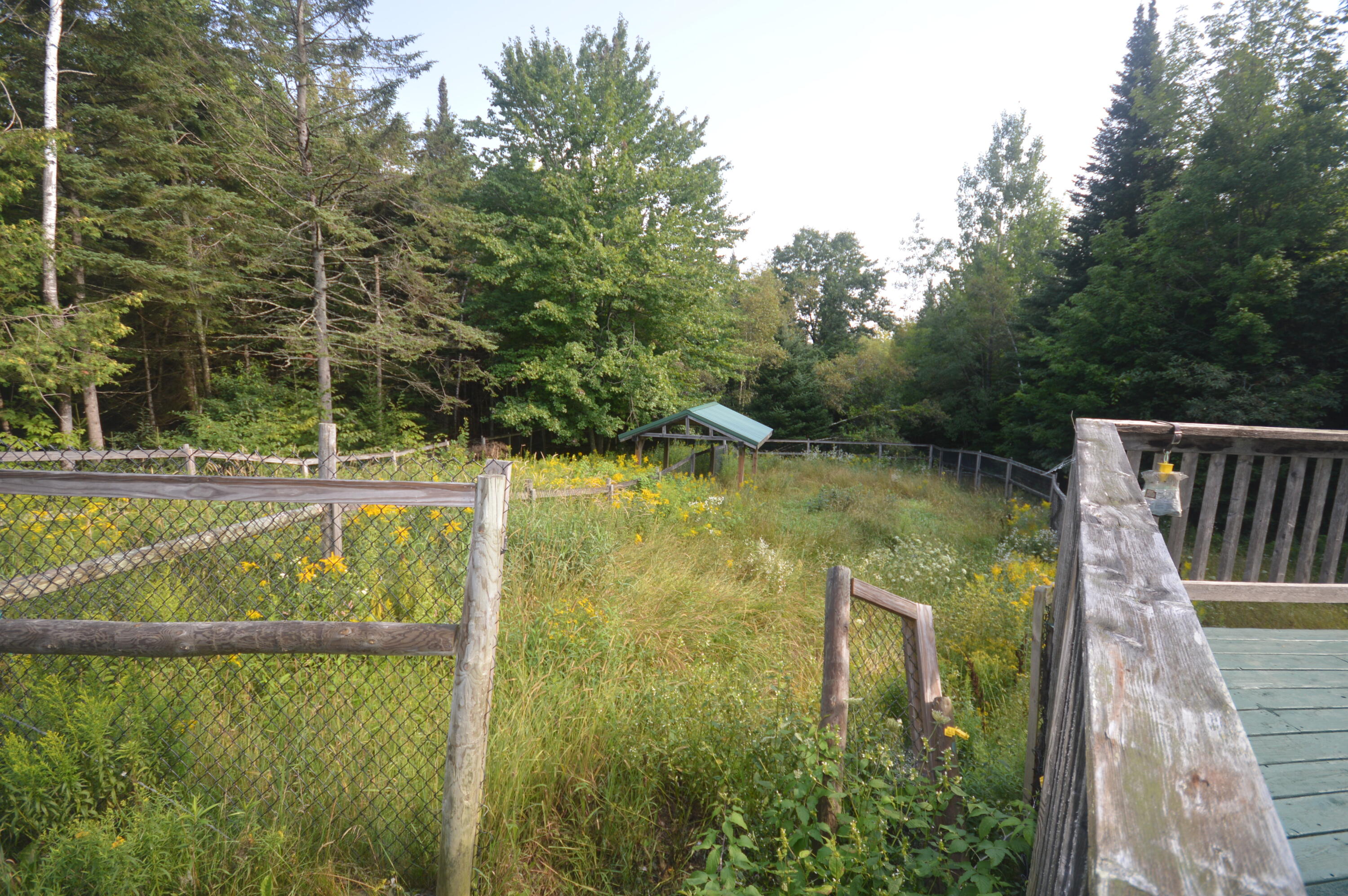 252 Tibbetts Road Exeter, ME 04435 - Photo 7 of 40 DSC_0015