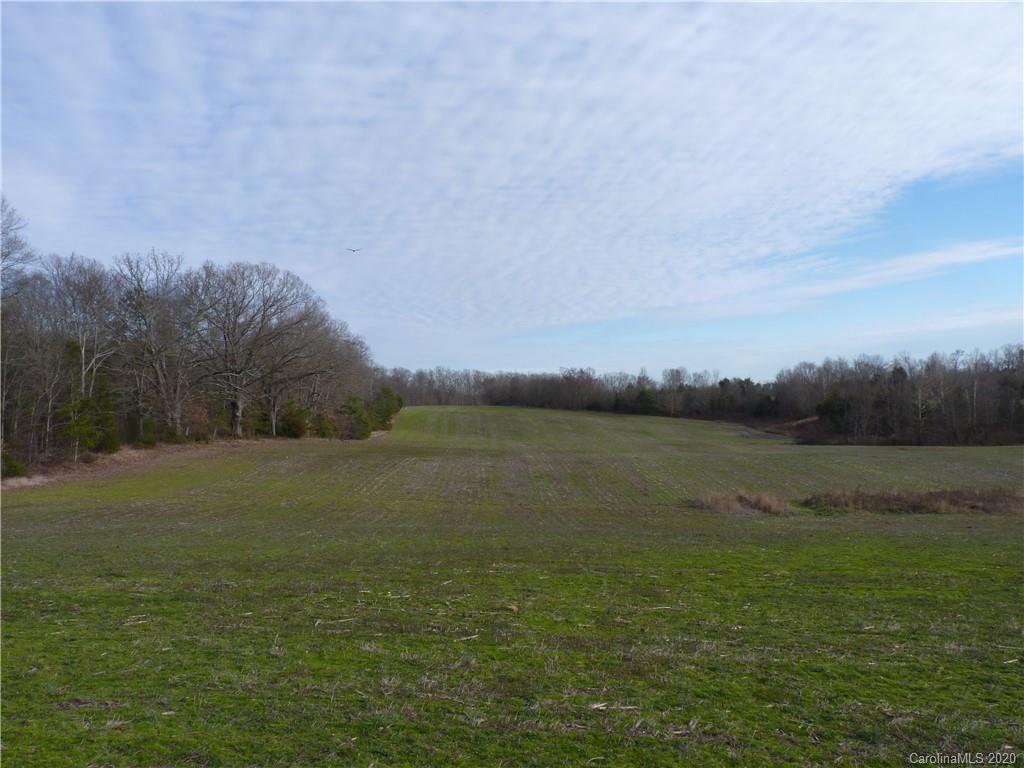 4785 Needmore Road Woodleaf, NC 27054 - Photo 14 of 48