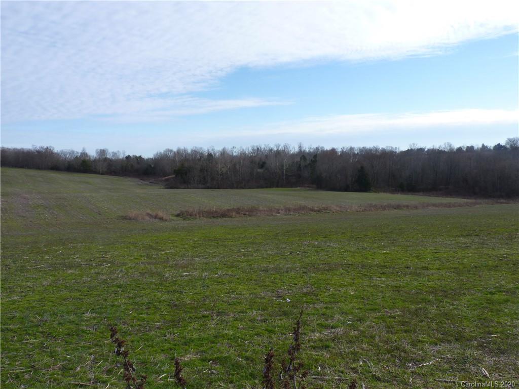 4785 Needmore Road Woodleaf, NC 27054 - Photo 3 of 48