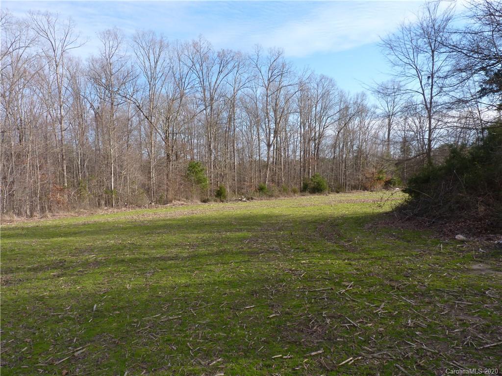 4785 Needmore Road Woodleaf, NC 27054 - Photo 40 of 48