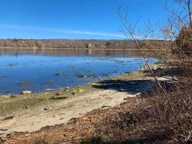 77 Wilson Point Road Castine, ME 04421 - Photo 14 of 83 77WPR14
