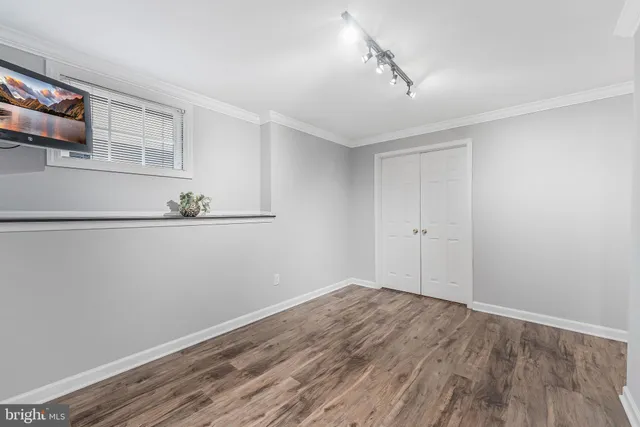 a view of a park with large trees