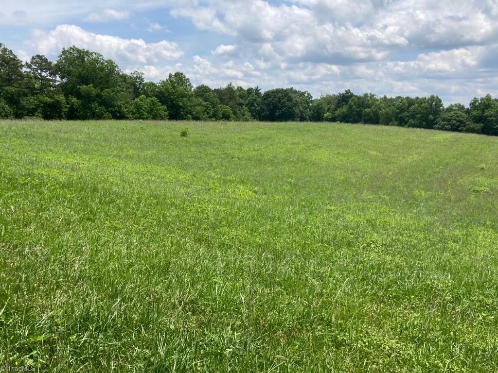 552 Carroll Town Road Ferguson, NC 28624 - Photo 1 of 5