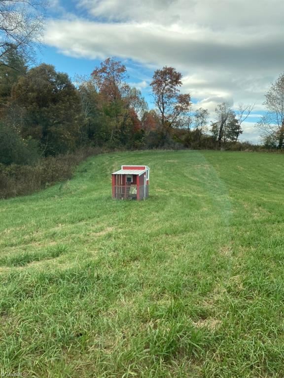 552 Carroll Town Road Ferguson, NC 28624 - Photo 3 of 5