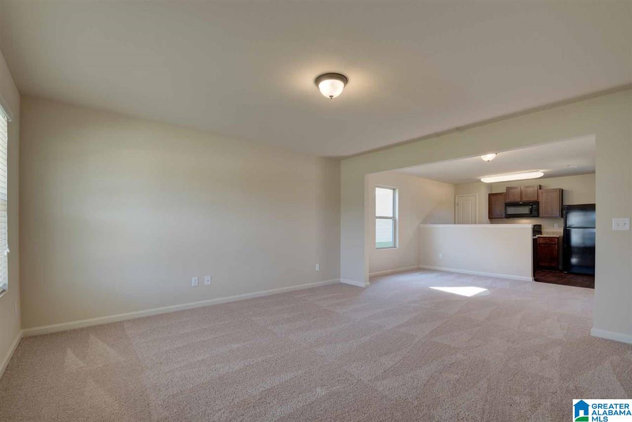 10 Homestead Lane Springville, AL 35146 - Photo 4 of 10