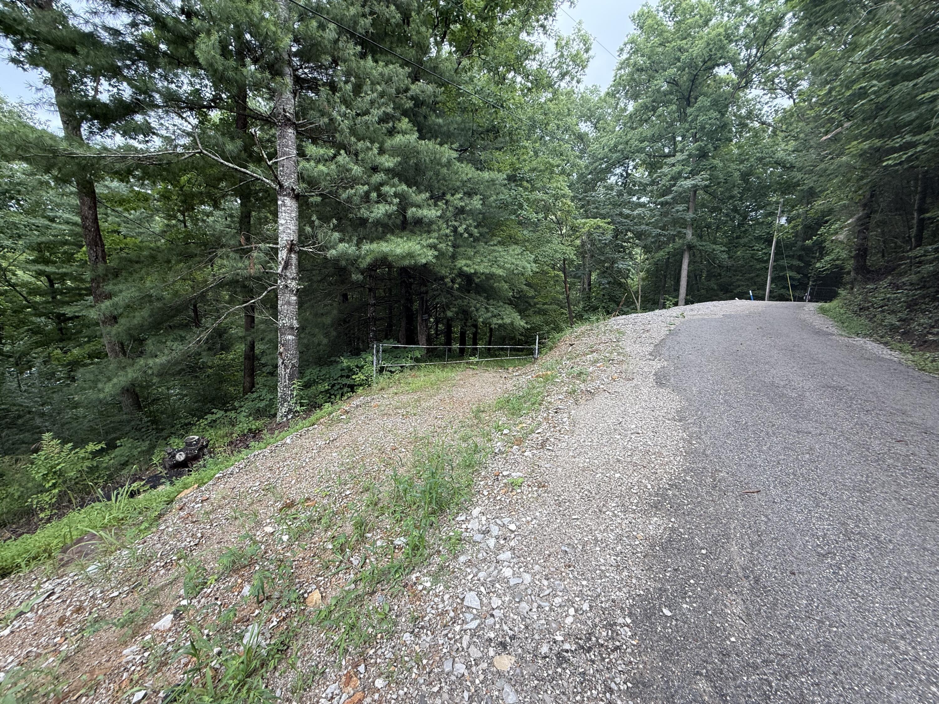 22 Laurel Cove Road London, KY 40741 - Photo 7 of 13 IMG_1752