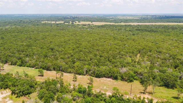a view of backyard with green space