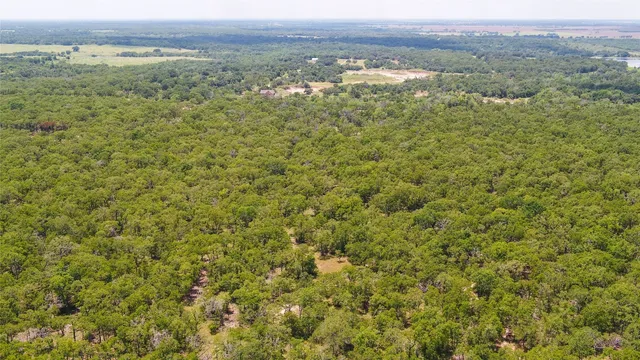a view of a city with lush green forest
