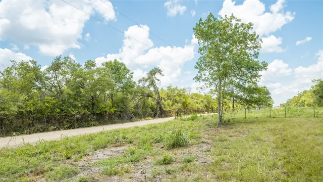 a view of grassy field with trees