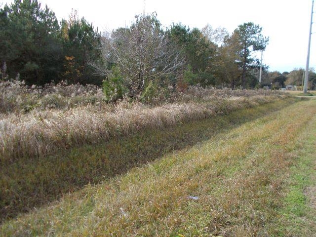 12230 Bay Road West Foley, AL 36535 - Photo 16 of 26
