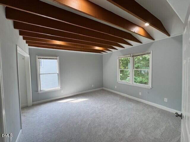 302 Rushingwater Drive Cary, NC 27513 - Photo 10 of 18 bonus