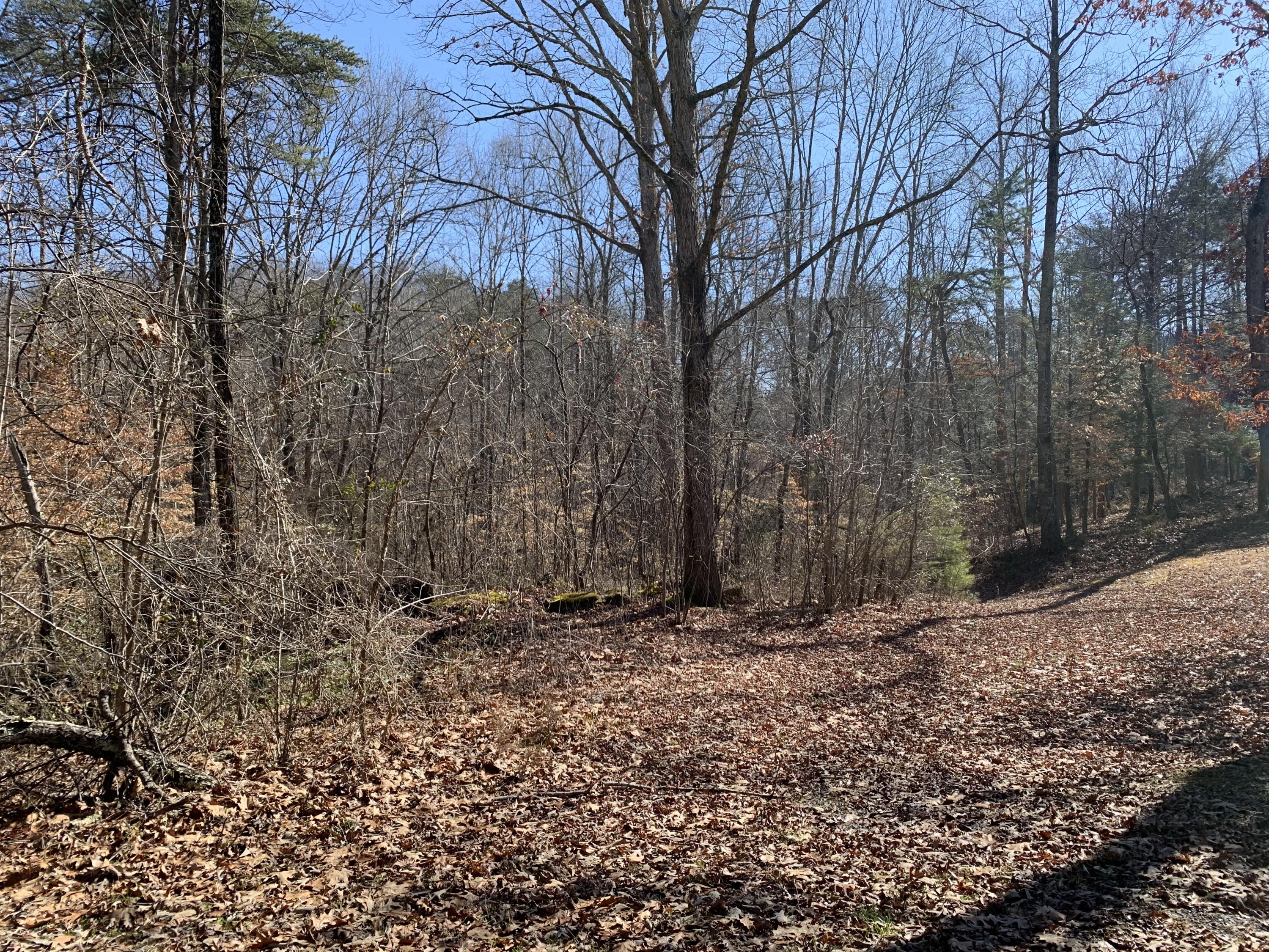 Alvey Hill Road Dandridge, TN 37725 - Photo 1 of 2 Alvey Hill Road 1