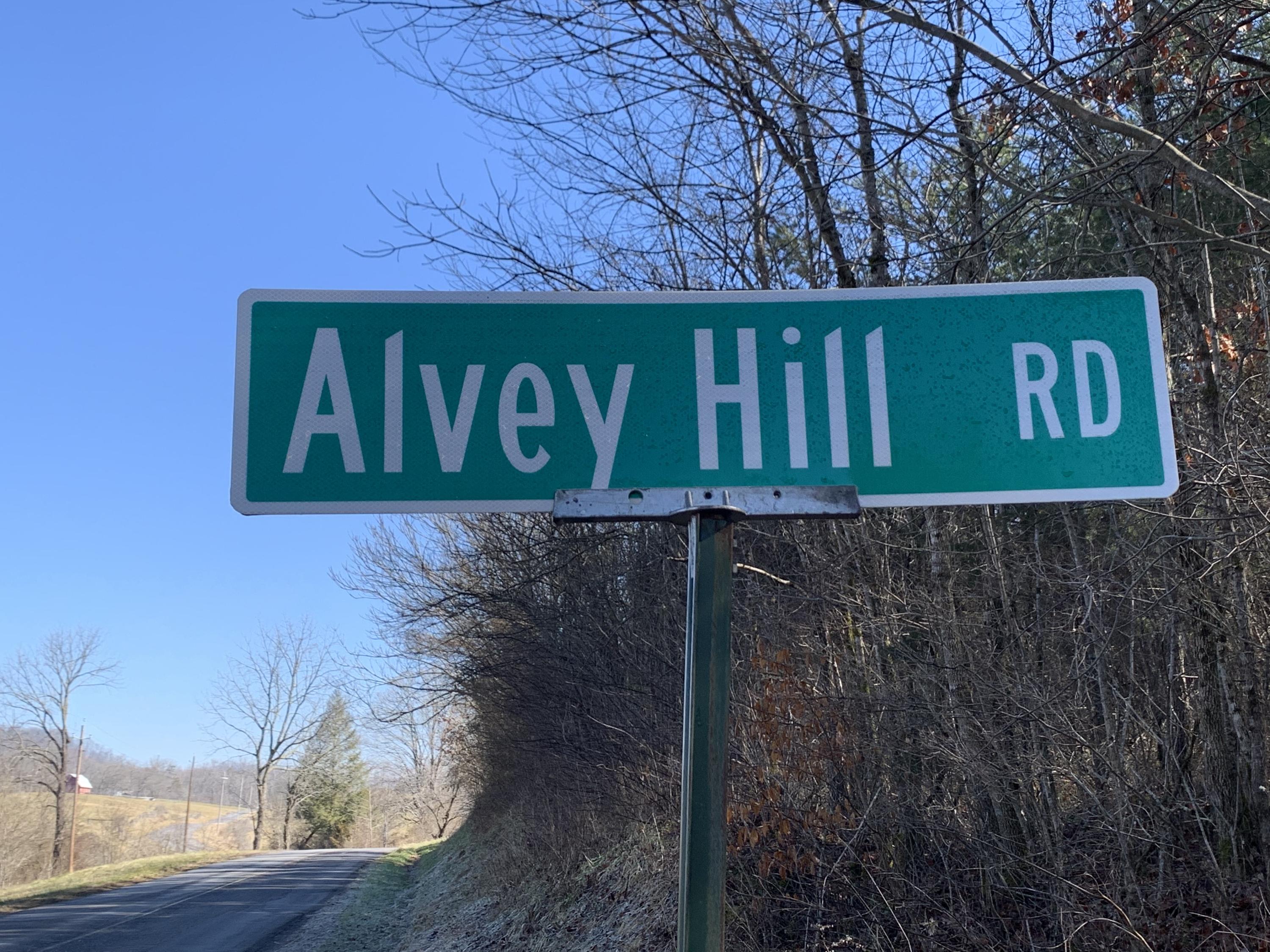 Alvey Hill Road Dandridge, TN 37725 - Photo 2 of 2 Alvey Hill Road