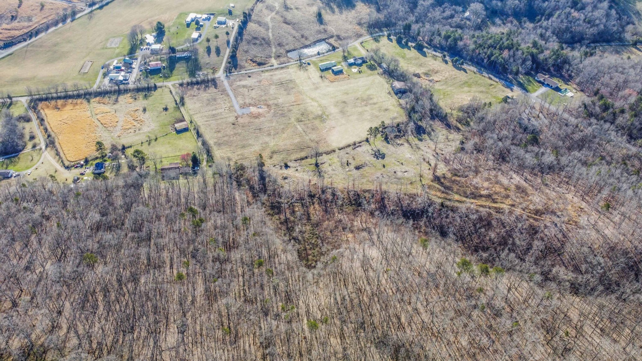 911 Cedar Grove Road Loudon, TN 37774 - Photo 8 of 14 Gallery Image 8