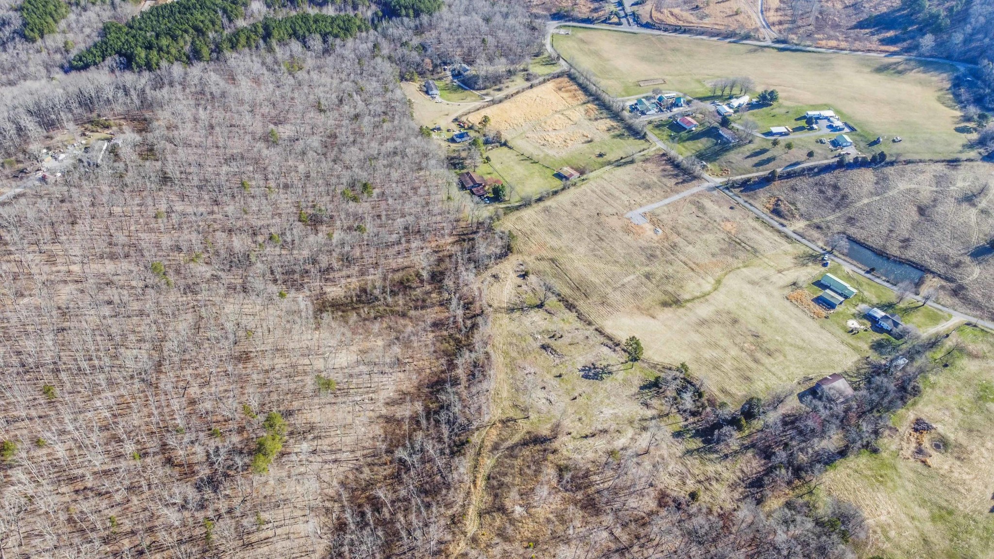 911 Cedar Grove Road Loudon, TN 37774 - Photo 10 of 14 Gallery Image 10