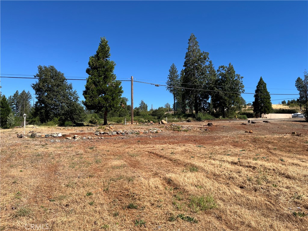 9250 Skyway Road Paradise, CA 95969 - Photo 4 of 6
