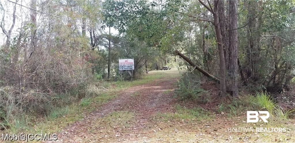 0 Bass Drive Theodore, AL 36582 - Photo 10 of 15