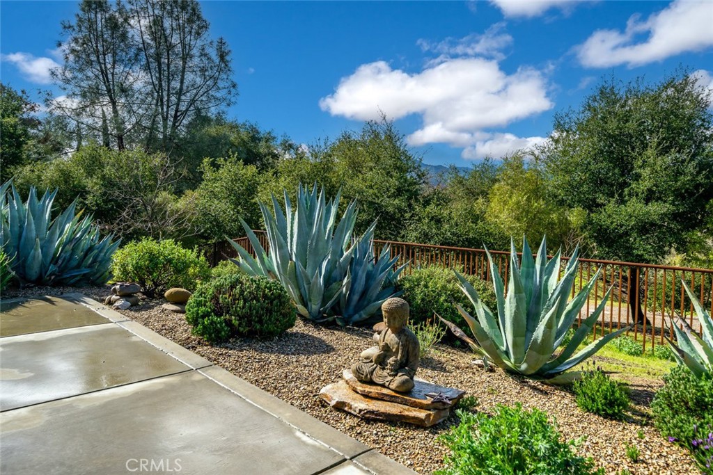 6790 West Pozo Road Santa Margarita, CA 93453 - Photo 42 of 68 a view of a backyard with plants and palm tree