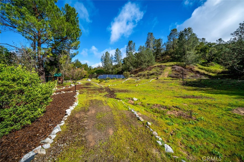 6790 West Pozo Road Santa Margarita, CA 93453 - Photo 44 of 68