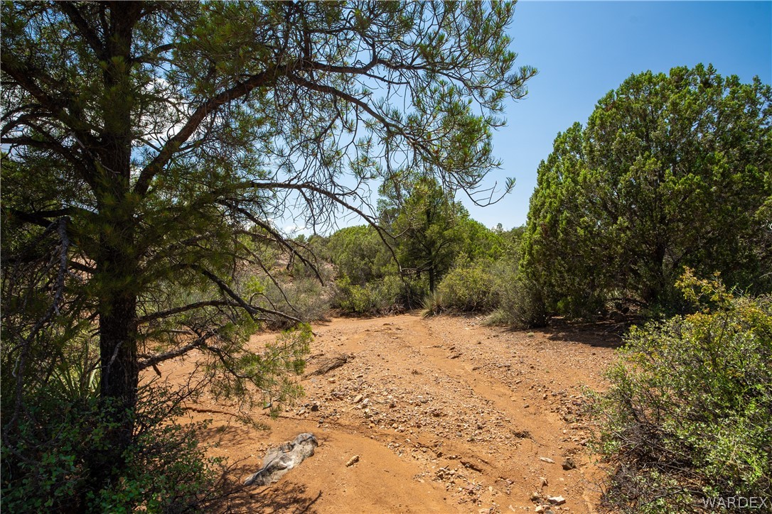 0 Austin Loop Kingman, AZ 86401 - Photo 1 of 29 Other