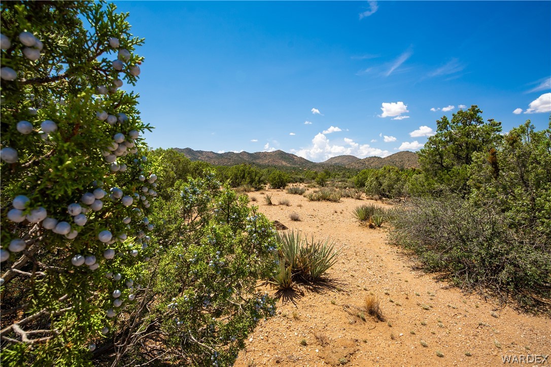 0 Austin Loop Kingman, AZ 86401 - Photo 18 of 29 Other