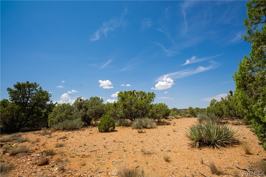 0 Austin Loop Kingman, AZ 86401 - Photo 19 of 29 Other