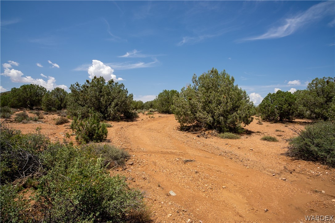 0 Austin Loop Kingman, AZ 86401 - Photo 2 of 29 Other