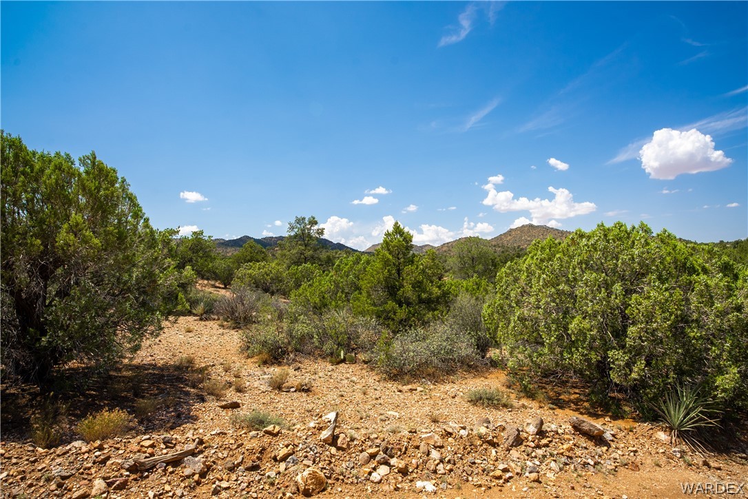 0 Austin Loop Kingman, AZ 86401 - Photo 24 of 29 Other