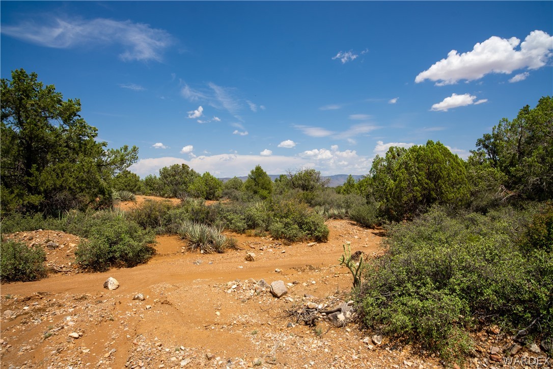 0 Austin Loop Kingman, AZ 86401 - Photo 25 of 29 Other