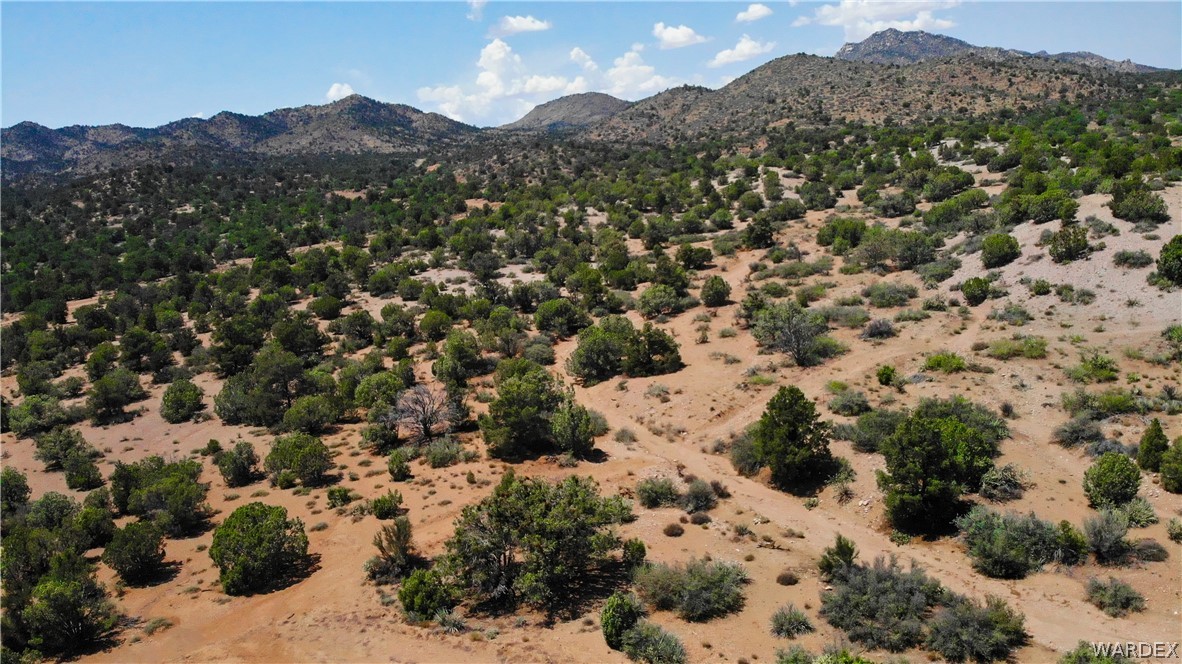 0 Austin Loop Kingman, AZ 86401 - Photo 29 of 29 View