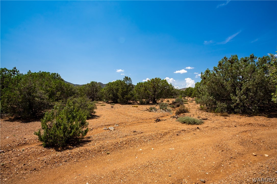 0 Austin Loop Kingman, AZ 86401 - Photo 3 of 29 Other