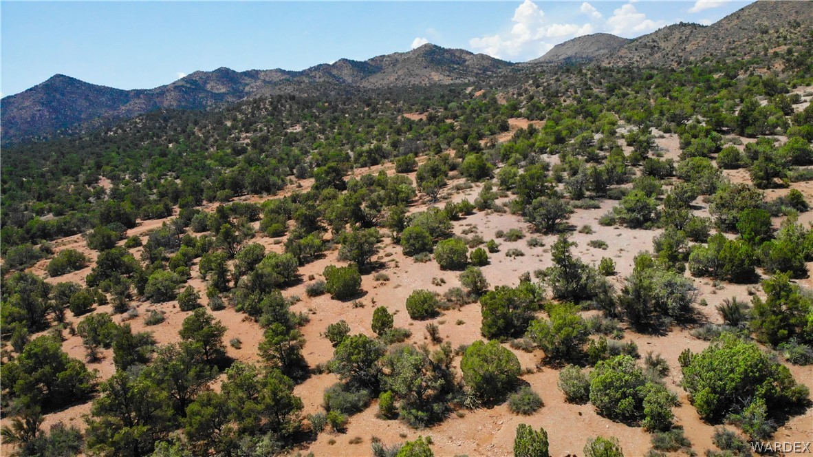 0 Austin Loop Kingman, AZ 86401 - Photo 4 of 29 View